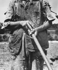 Dorothea Lange Hoe Culture Near Anniston Alabama 1936 Dorothea Lange Dorothea Lange Photography Documentary Photography