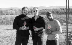 9 maison no.9 sold 50,000 bottles of wine which was his entire starting inventory. Maison No 9 A Post Malone Project Rose 2019 Wine Com