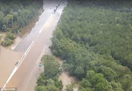 Intuitive fred888: Caskets float down the street in devastating Louisiana  floods: Grim scenes as 500-year storm leaves up to 10,000 people homeless