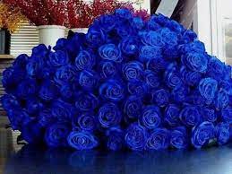 Beautyroseskw בטוויטר بوكيه ورد ازرق طبيعي ب ٢٢دك ماراح تلاقون ارخص من هالسعر للطلب والاستفسار وتساب 50528767. ØµÙˆØ± Ø¨ÙˆÙƒÙŠÙ‡ ÙˆØ±Ø¯ Ø§Ø²Ø±Ù‚ Ù„Ø¹Ø´Ø§Ù‚ Ø§Ù„Ù„ÙˆÙ† Ø§Ù„Ø§Ø²Ø±Ù‚ Ø§Ø¬Ù…Ù„ Ø¨ÙˆÙƒÙŠÙ‡Ø§Øª ÙˆØ±Ø¯ Ø§Ø²Ø±Ù‚ Ø§ØºØ±Ø§Ø¡ Ø§Ù„Ù‚Ù„ÙˆØ¨