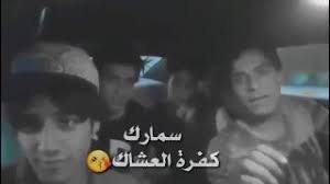 رضا نجم