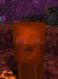 The current version is beta 1.21, for forge 1.16.5. V1 Survivalcraft Nether Expansion Minecraft Pe Mods Addons