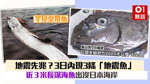2011年3月11日 東日本大震災 仙台空港での地震発生の瞬間 押し寄せる津波 まいにち防災 津波映像が含まれています great east japan earthquake tsunami. åœ°éœ‡å…ˆå…† 3æ—¥å…§3æ¢ åœ°éœ‡é­š å‡ºæ²'æ—¥æœ¬æµ·å²¸311å¤§åœ°éœ‡å‰ç¾20æ¢ é¦™æ¸¯01 ç†±çˆ†è©±é¡Œ