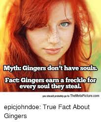 Myth Gingers Don T Have Souls Fact Gingers Earn A Frecklefor Every Soul They Steal You Should Probably Go To Themetapicturecom Epicjohndoe True Fact About Gingers True Meme On Me Me
