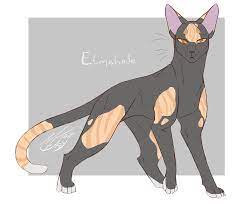M Jay Warriors Art Here It Is Those Are My Brand New Ocs Based On Warrior Cat Drawings Warrior Cat Oc Warrior Cats