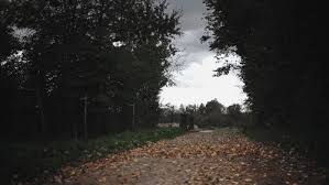 Image result for tbn:7sJcaARVFbqiRM::www.imagefreehost.com/files/13122007/ok1319421195.gif