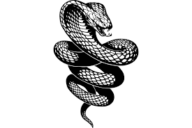 Image Result For Cobra Vector Kolase Desain