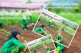 Informasi Lengkap Tentang Jurusan Agribisnis