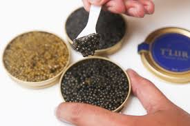 The sterlet is one of the. Say What Malaysia Is Producing Caviar Malaysia Malay Mail