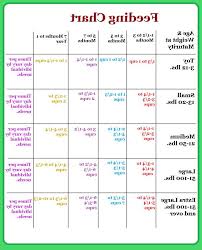 Great Dane Food Chart Petsidi