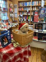The poems that are found in this book correlate with children's growing pains and insecurities that they endure on a daily basis. Where The Sidewalk Ends Bookstore Shopping Specialty Retail Books Stationery Chatham Chamber Of Commerce Ma
