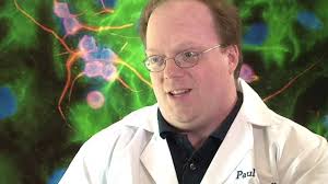 Unapproved stem cell therapies multiply