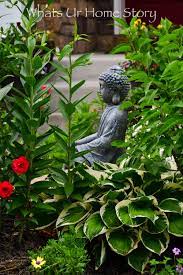 Pin On Gardening