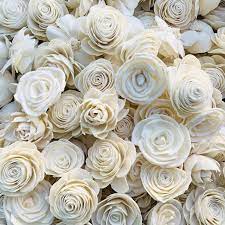 Dried flowers, sola wood flowers, bird toy making parts, potpourri, wedding bouquet & arrangements. Sola Rose Flower Assortment 50 100 200 500 Pack Wholesale Luv My Flowers Wholesale