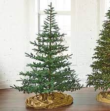Fresh From The Forest Tree Grandin Road Google Search Silvertip Christmas Tree Types Of Christmas Trees Fir Christmas Tree