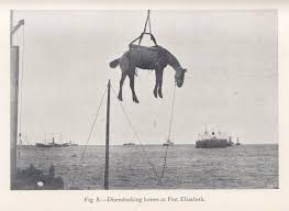 South African War, 1899–1902 ...