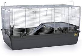Amazon Com Prevue Pet Products 528 Universal Small Animal Home Dark Gray Gateway Small Pets Small Animal Cage Large Hamster Cages