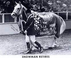 Young adulthood after the war harry de leyer is still living at the age of 84 soon to be 85. Harry De Leyer Retiring The Incomparable Snowman At The National Horse Show Show Horses Snowman Horse Beautiful Horses