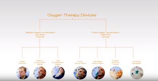 Image result for Moderate Flow Oxygen