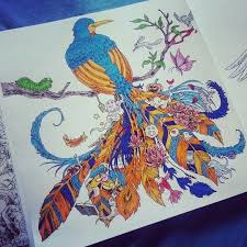 Https S Media Cache Ak0 Pinimg Com Originals 1b 2d 78 1b2d782fcd1ce420eb37141e070e04f7 Jpg Animorphia Coloring Book Coloring Books Animorphia Coloring