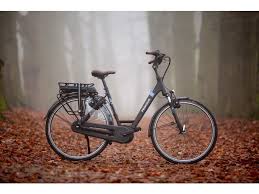 Pegasus Siena E7f Elektrische Fiets In 2020 Elektrische Fiets Fiets Pegasus