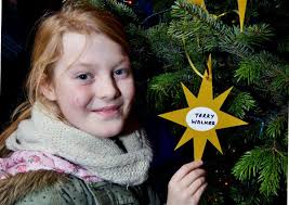 Families pay tribute to loved ones at City Hall Christmas Stars event