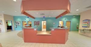 With compassion, respect and gentle hands…and lots of treats! Dogwood Veterinary Hospital Pet Resort