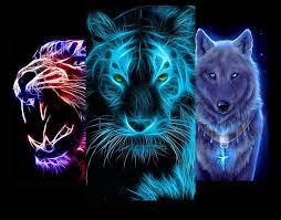 Maybe you would like to learn more about one of these? Neon Animal Glowing Wallpaperhd Fur Android Apk Herunterladen