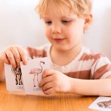 Snap & Go Fish Africa