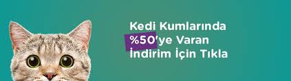 fiv hastaligi nedir tedavisi nasil olur petburada com