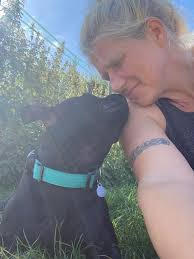 Guardians of the house & hound