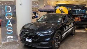 Image result for Green 2025 Fleet