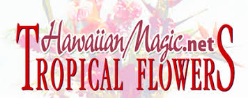 Check spelling or type a new query. Hawaiian Magic Tropical Flowers Links To Other Sites
