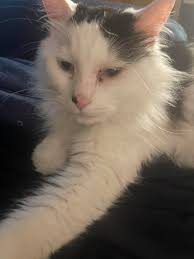 Tornado warned supercell spotted