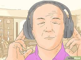 Fungsi mengadili atau judicial power 3 Cara Untuk Mencegah Polusi Suara Wikihow