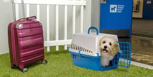 Airport Pet Relief Areas | K9Grass by ...