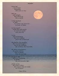 Maryoliver Poem Poetry Mindfulness Mary Oliver Poems Mary Oliver Mary Oliver Quotes