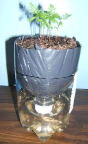 Plastic Liter Bottle Planter Self Watering Plants Growing Herbs Self Watering Pots