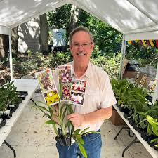 Image result for Polystachya songaniensis