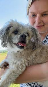 Was anything ever mentioned about cadaver dogs in the searching of his  truck? Or in searching for Suzanne?