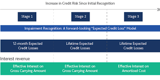 N review the quality of credit underwriting n review the accuracy of the risk ratings assigned by lenders Implementing Ifrs 9 Expected Loss Impairment Model Moody S Analytics