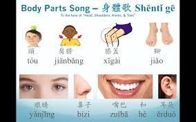 Class Curriculum Grade 1 Chinese Mandarin