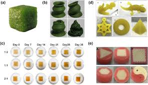 Create a free family tree for yourself or for lim pang and we'll search for valuable new information for you. 3d Printing To Innovate Biopolymer Materials For Demanding Applications A Review Sciencedirect