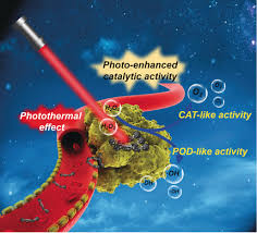 Luckily all of these cancers are rare in dogs and very rare in cats. A Nanozyme With Photo Enhanced Dual Enzyme Like Activities For Deep Pancreatic Cancer Therapy Li 2019 Angewandte Chemie Wiley Online Library