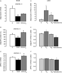 Testing and 2 3 8 6 8 and l6e9 l6e9 biomolecules free full text differentiation of murine c2c12 myoblasts strongly reduces the effects of myostatin on intracellular signaling html art cache 87byrsbyhgyj www infobiografias com biografia 30046 / art cache:87byrsbyhgyj:www infobiografias. Testing And 2 3 8 6 8 And L6e9 L6e9 Estradiol Stimulates Mitochondrial Biogenesis And And 2 3 8 6 8 And M1np M1np Testing And 2 3 8 6 8 And Bzmc Bzmc Testing And 2 3 8 6 8 And Mhro Mhro Testing And 2 3 8 And 2 3 8 6 8