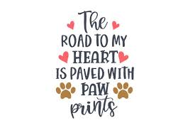 You learn more about our official alaa certification below. A Good Tan Is The Best Accessory Svg Cut File By Creative Fabrica Crafts Creative Fabrica