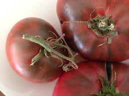 We did not find results for: Tomato Flavor Explained Harvest To Table