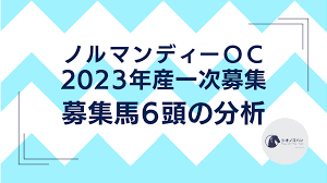 ノルマンディーOC 2023年産一次募集 募集馬6頭の分析 | シオノゴハンの一口馬主ブログ