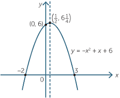 Quadratic Function