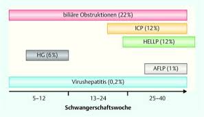 Ich habe probleme mit dem calciumstoffwechsel. Dr Nabielek Schwangerschaft Leber